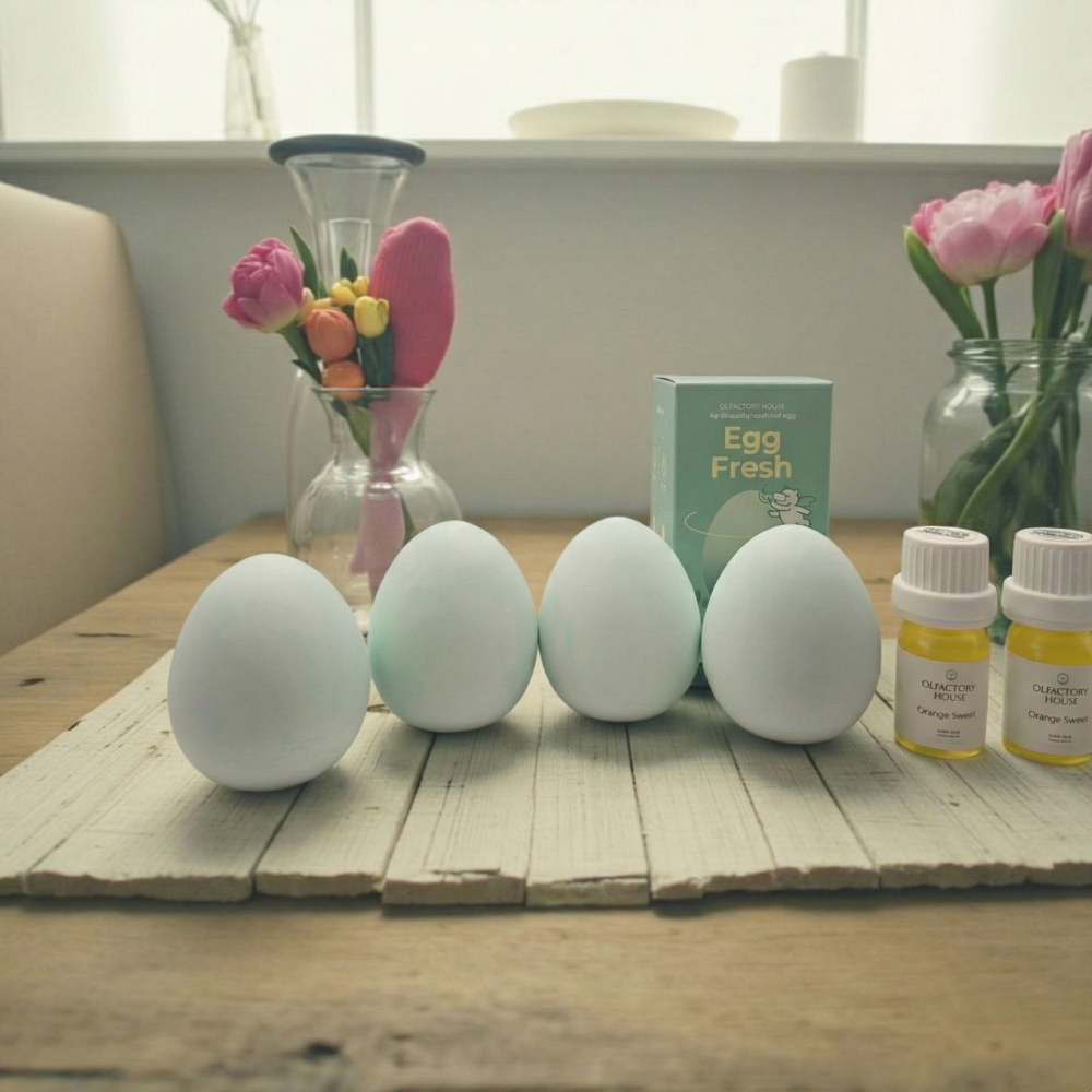 에그프레쉬 규조토 냉장고 탈취제 계란 습기제거제 썸네일 6