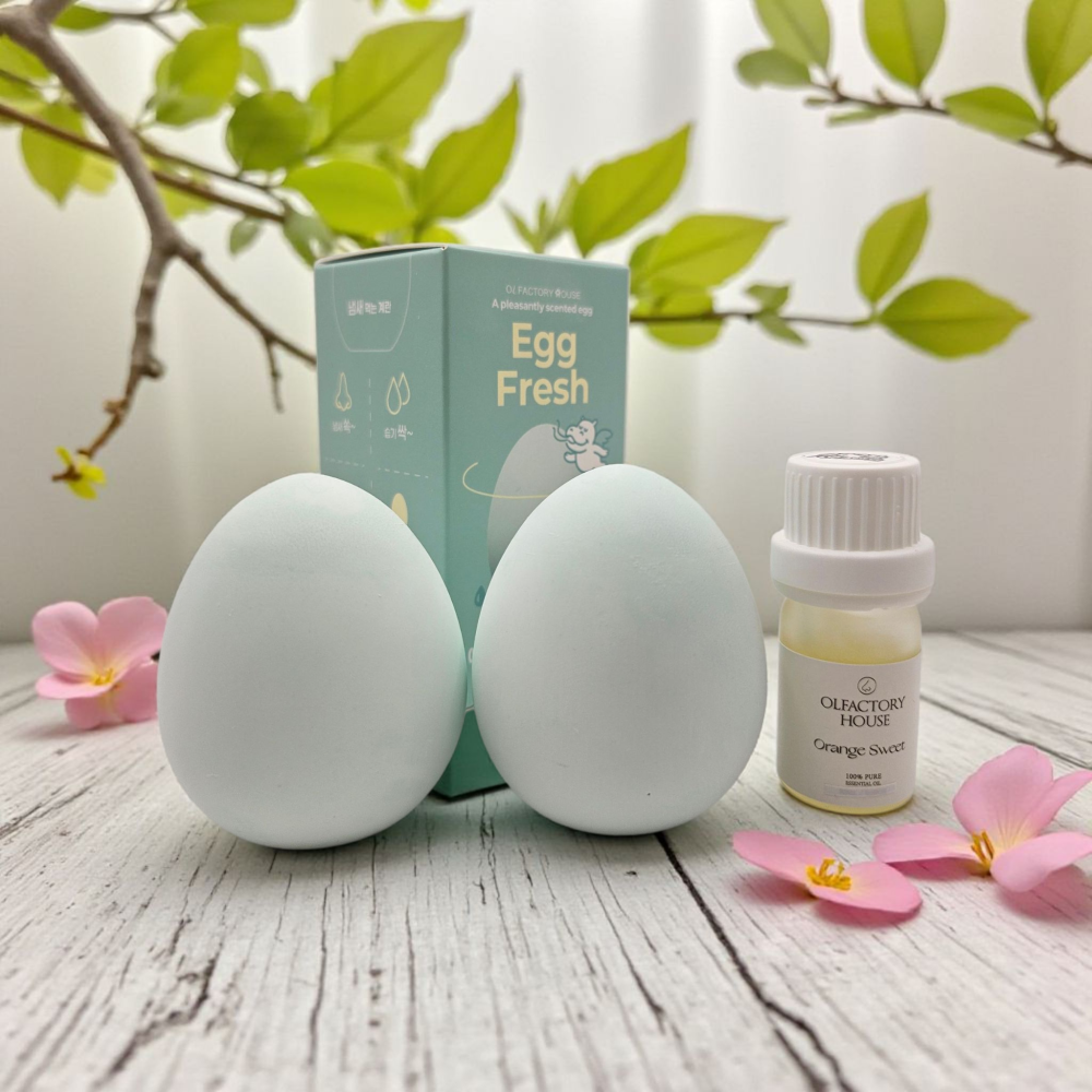 에그프레쉬 규조토 냉장고 탈취제 계란 습기제거제 썸네일 7