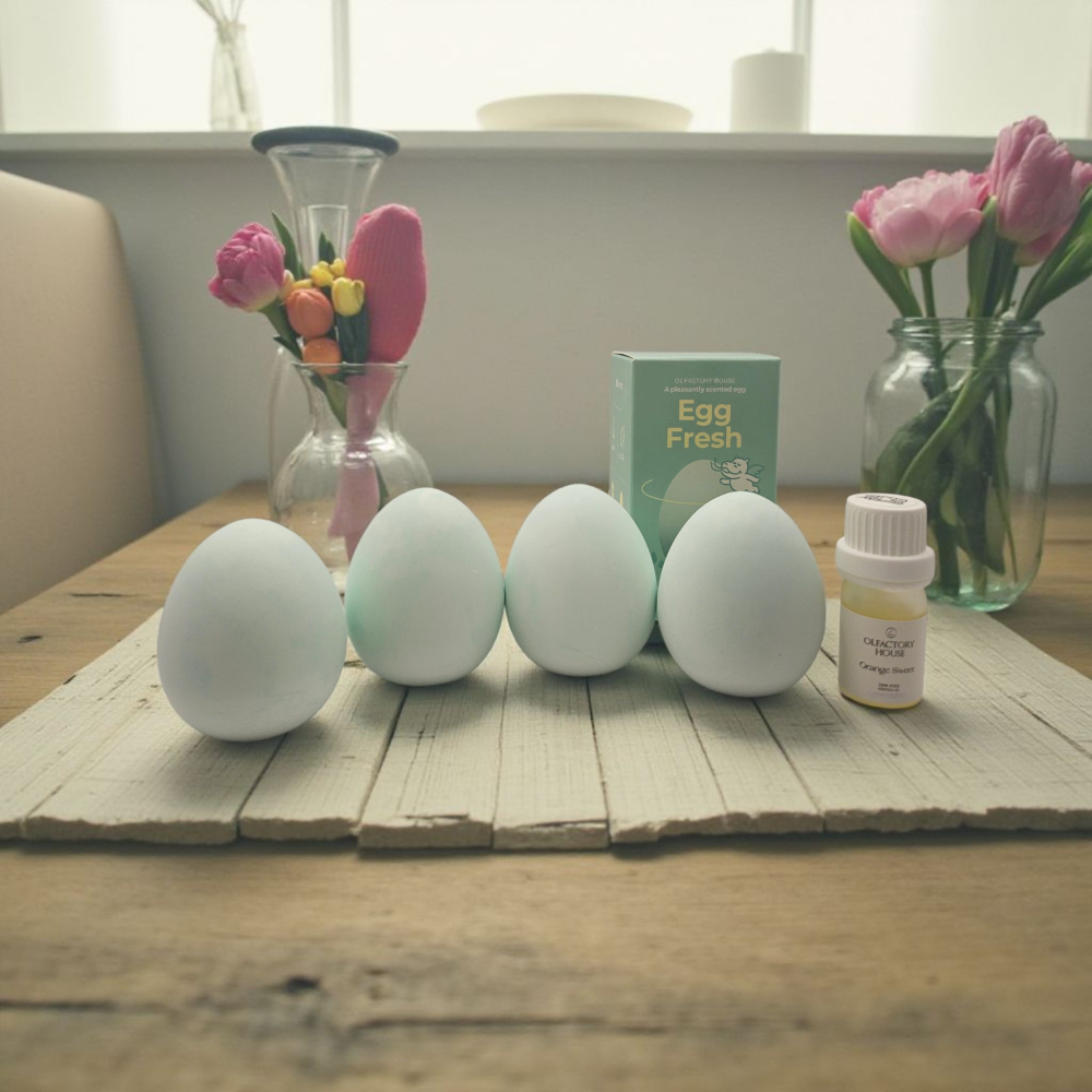 에그프레쉬 규조토 냉장고 탈취제 계란 습기제거제 썸네일 9