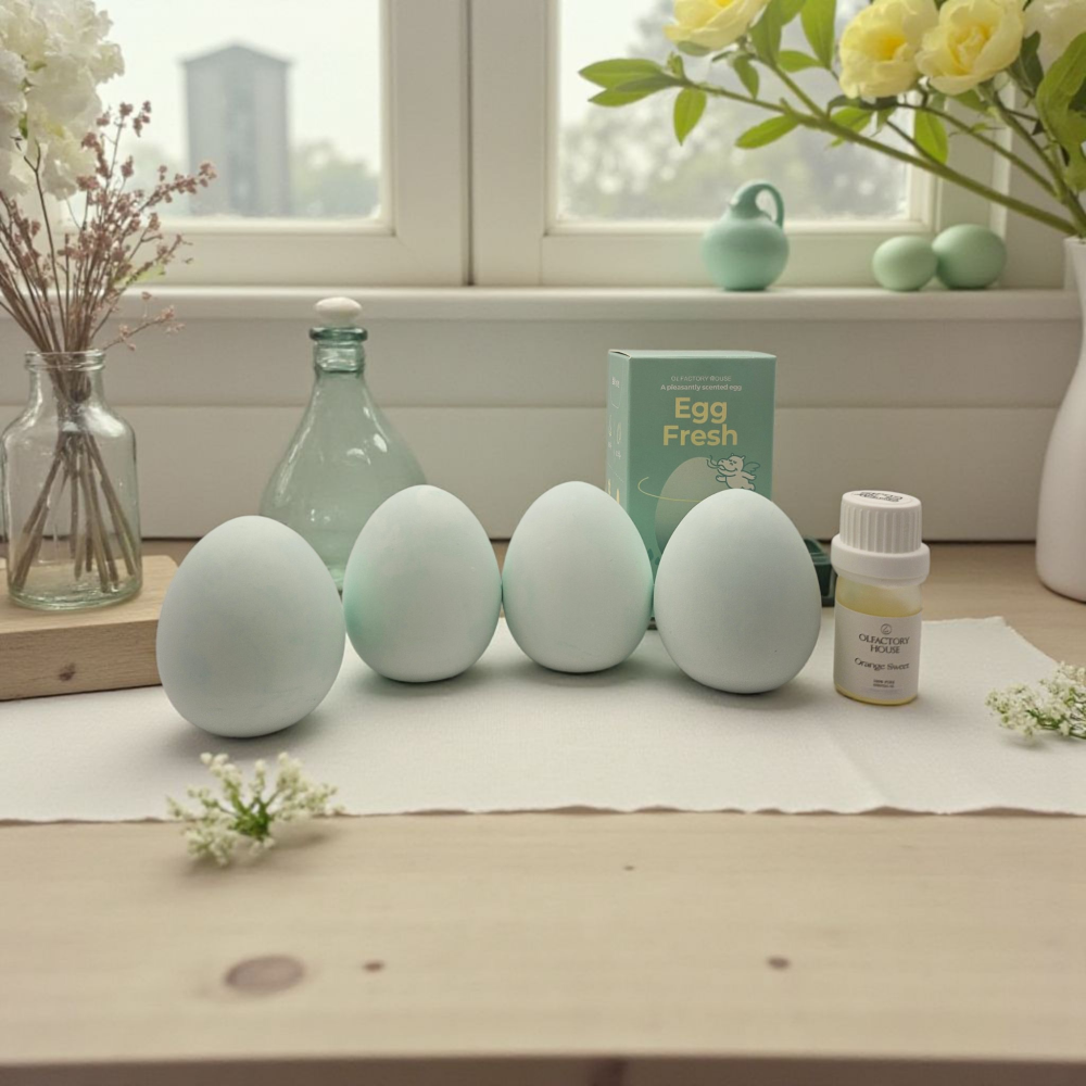 에그프레쉬 규조토 냉장고 탈취제 계란 습기제거제 썸네일 10