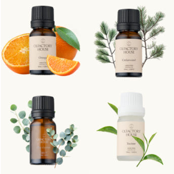 올팩토리하우스 천연 유기농 에센셜 오일 10ml Thumbnail 5