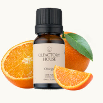 올팩토리하우스 천연 유기농 에센셜 오일 10ml Thumbnail 6