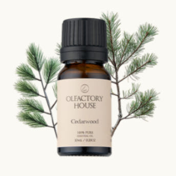 올팩토리하우스 천연 유기농 에센셜 오일 10ml Thumbnail 7