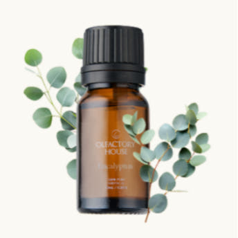 올팩토리하우스 천연 유기농 에센셜 오일 10ml Thumbnail 8