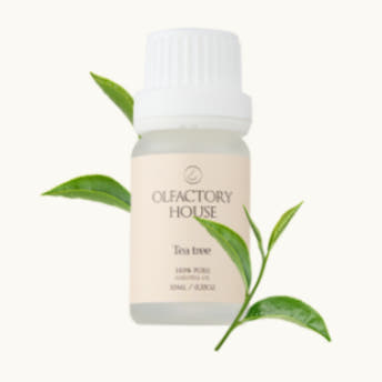 올팩토리하우스 천연 유기농 에센셜 오일 10ml Thumbnail 9